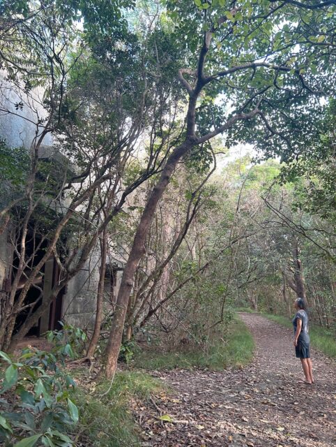 .
「頑張ります」という言葉は
人によって意味が違う

ある人にとっては
「思っただけ」だったり

ある人にとっては
「覚悟を持って行動する」と
いう宣言だったり…

同じ言葉を使っていても
見ている景色や
向いている方向が違う

だから最近は言葉よりも

・継続しているか
・自分で選んで動いているか
・周囲への影響まで見ているか

そんなところに
自然と目が向くようになった

表面的な言葉だけを信じない

この在り方は
時に厳しく映ることもあるかもしれない

それでも私は
人が自分で気づき
軌道修正していく力を
信じていたいと思っている

身・口・意のズレを
自ら認め、整えていく人を
私は心からリスペクトしている

来年は
そんな人との関係を
より大切にしていきたい

私自身が依存しないために

そして

誰かに依存させないために

今年も
さまざまな関係性を通して
多くの学びをもらった一年でした

関わってくれたすべての人に
感謝を込めて✨

この気づきを胸に2026年は
さらに循環を生み出していきます